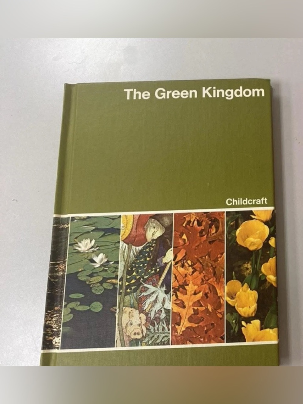 Childcraft Volume 6: The Green Kingdom World Book Illustrated Hardcover,
